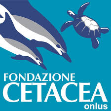 Fondazione Cetacea 
