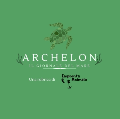 Archelon - La primavera è nell’aria… e lo sono anche palloncini e fuochi d’artificio!