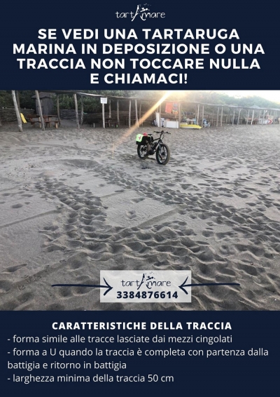 Occhio alla Traccia!