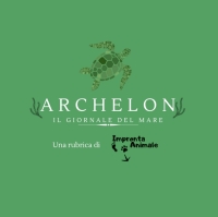 Archelon - Le Reti Fantasma