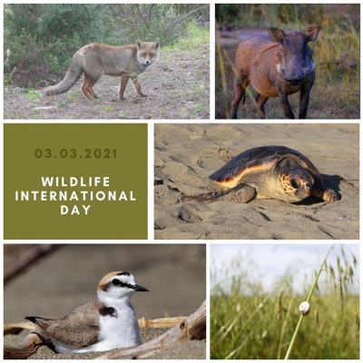 WORLD WILDLIFE DAY