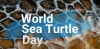 Giornata Mondiale delle Tartarughe Marine