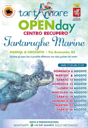 Partecipa alla celebrazione: la Giornata nazionale delle scimmie marine è  qui - I Love Veterinary
