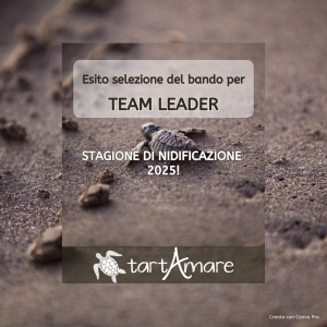 Esito della Selezione per il Bando Team Leader