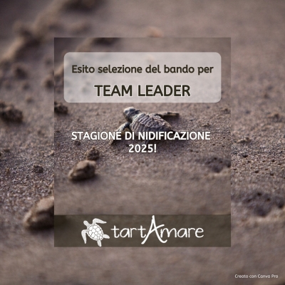 Esito della Selezione per il Bando Team Leader