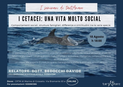 I Seminari di tartAmare: &quot;Cetacei: Animali Molto Social&quot;