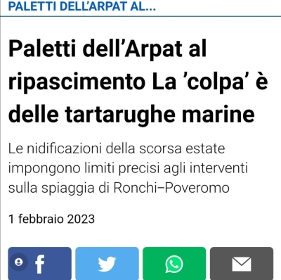 &quot;Colpa&quot; delle Tartarughe Marine?