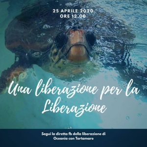 Diretta Liberazione Oceania