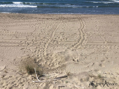 Traccia Di Emersione A Castiglione Della Pescaia