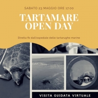 Sabato 23 Maggio Ore 17,00 Diretta dal Centro di Marina di Grosseto