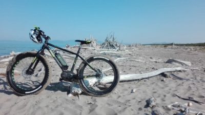 Monitoraggio delle spiagge alla ricerca delle tracce e dei nidi di tartaruga marina